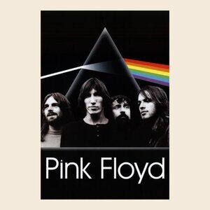 Pink Floyd - Dark Side Of The Moon Group Poster_ 165
